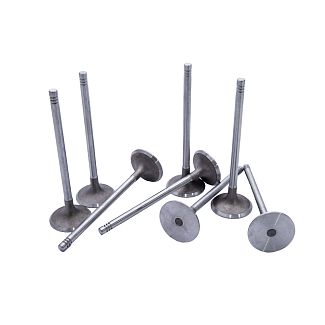 Клапан випускний (8шт) 2.0L CDN