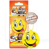 Ароматизатор сухий лист "кокос" Smile Dry Coconut AREON (ASD20)