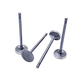 Клапан впускной (4шт) 1.6L 