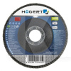 Диск шлифовальный 125x22.4 мм P60 лепестковый HOGERT (HT8D052-HOGERT)