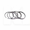 Кольца поршневые STD 2.0L TP на Great Wall WINGLE 5 (1004010-ED01)