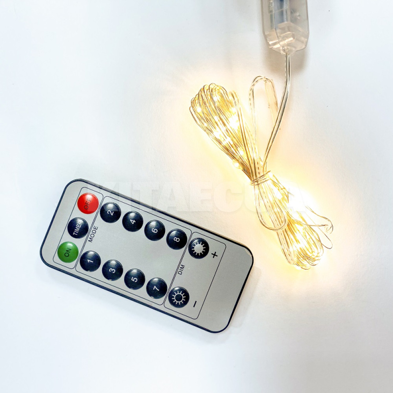 Гірлянда світлодіодна USB 5м 50LED з пультом теплий білий (TD542D2-5-WW)