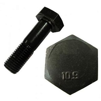 Болт М20 x 50 ТВ-10.9 шаг 1.5 серый 