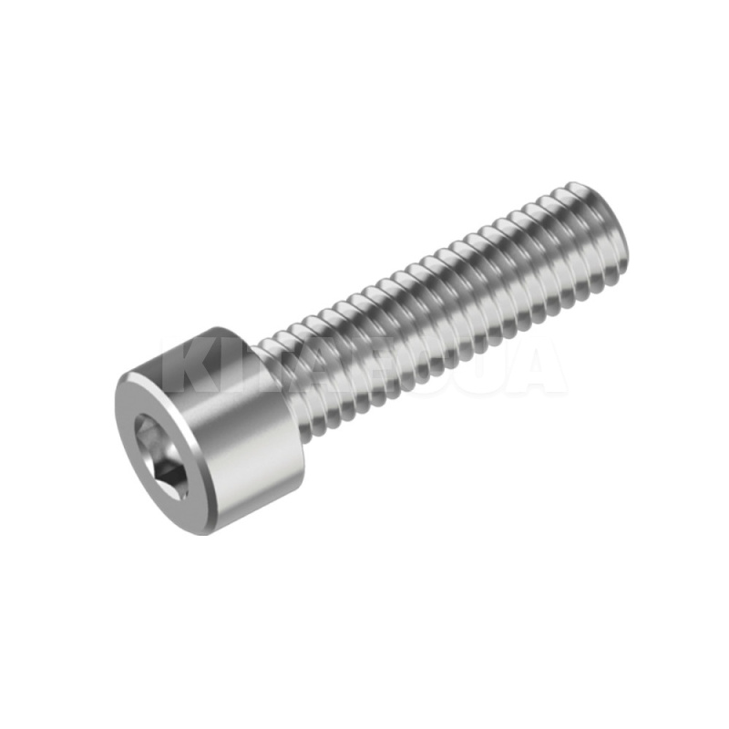 Болт (имбус) М6х12 ТВ-8.8 (6 12 04)