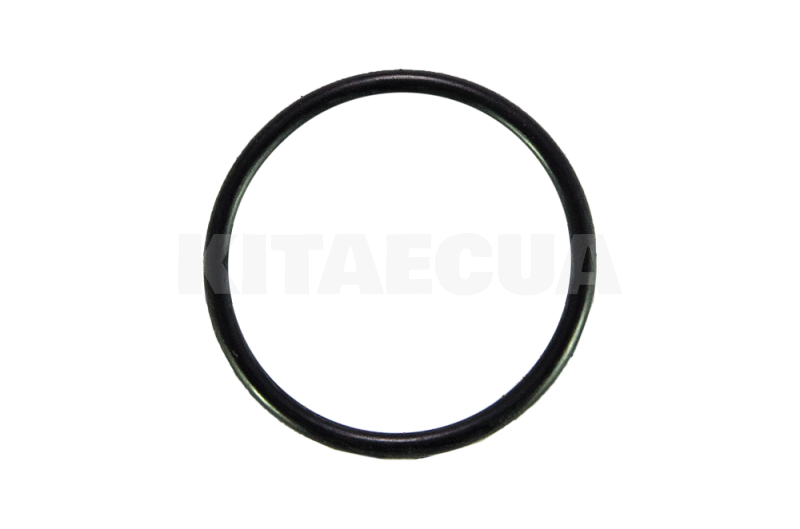 Прокладка помпы (кольцо уплотнительное) на Geely CK (E050000301)