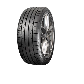 Шина летняя 255/45R19 100Y Davanti