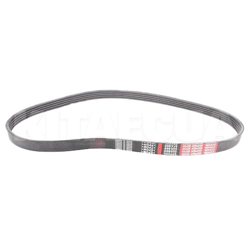 Ремень генератора 1.6L DONGIL на BYD F3 (10237822-00) - 2