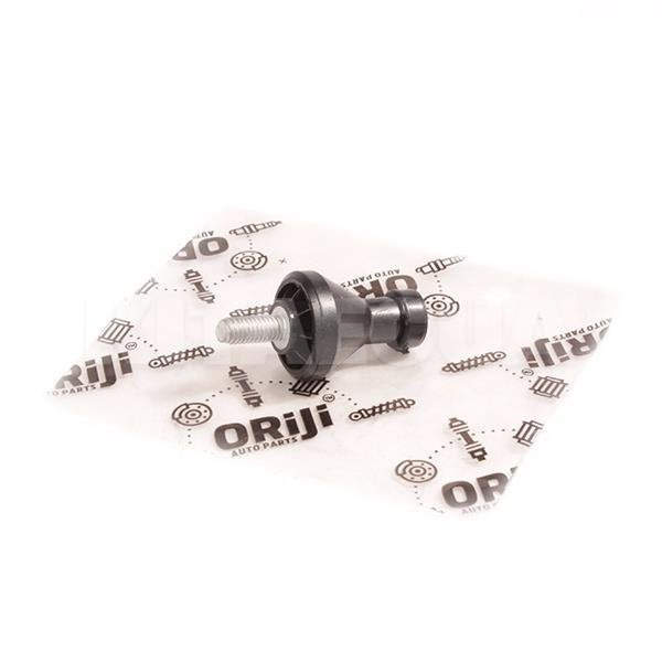 Болт крепления крышки двигателя 2.0L ORIJI на Chery ELARA (A21-1109815)