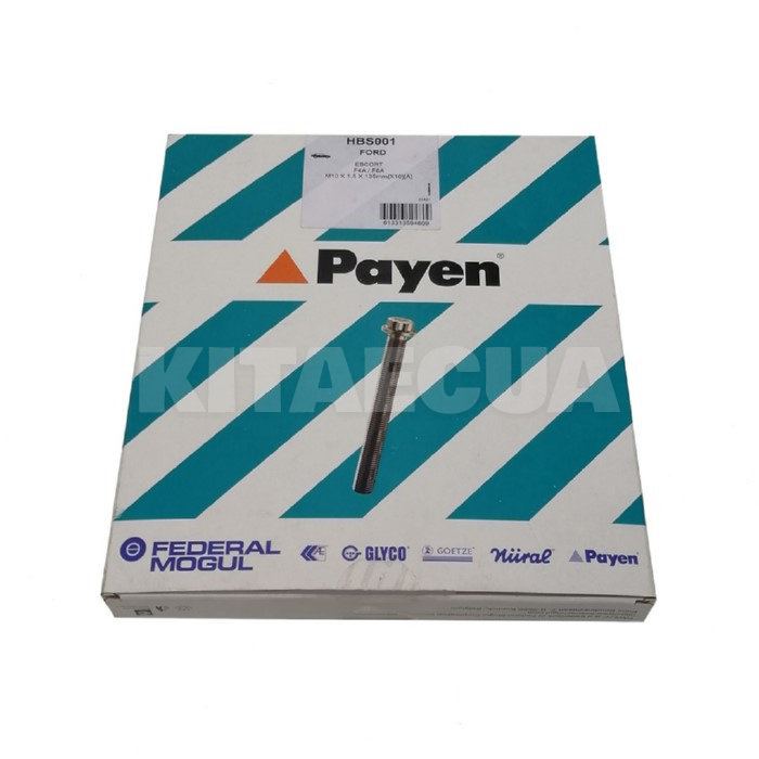 Болт головки блоку циліндрів 1.6L PAYEN на Chery AMULET (480-1003082)