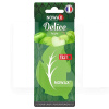 Ароматизатор "яблуко" Delice Apple NOWAX (NX00076)