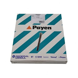 Болт головки блока цилиндров 1.6L PAYEN