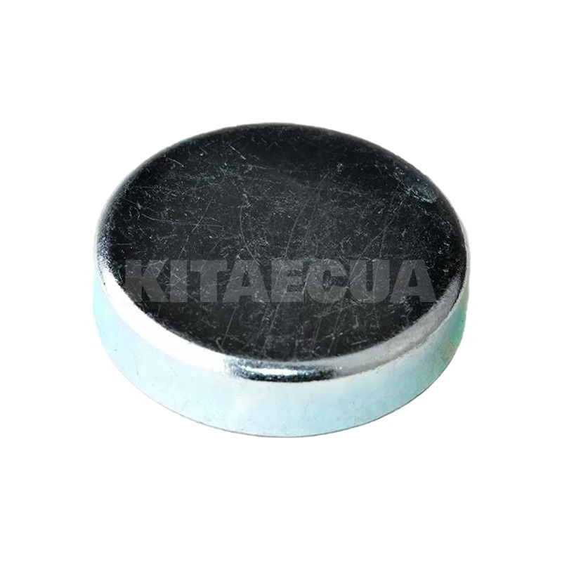 Заглушка ГБЦ 1.5L HQ на ZAZ FORZA (480-1002017)