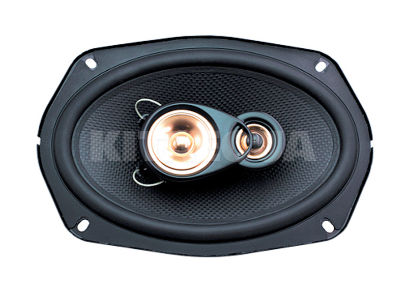 Динамики коаксиальные 3-х полосные овальные 6x9" (15х23 см) черный 250ВтCarbon (2 шт) Celsior (CS-693C)