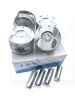 Поршни двигателя +0.25 (с пальцами) 4шт 1.5L CDN на Geely MK2 (E020100106-0.25)