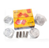 Поршень STD (ком-кт 4 шт) 2.4L BERDELAY на Geely EMGRAND EX7 (1016050335)