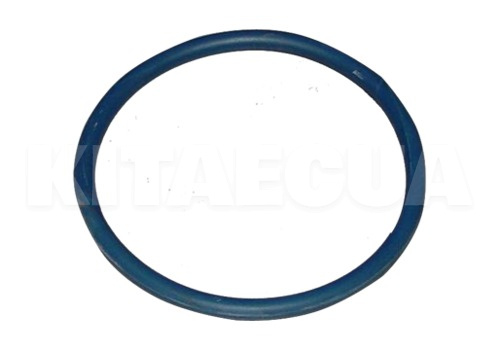 Прокладка паливного насоса (кільце) на TIGGO FL (T11-1106611)