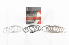 Кільця поршневі 0.25 MOGEN на Chery KARRY (480EF-1004030BA)