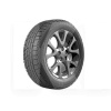 Шина зимняя 215/60R17 96H ViaMaggiore Z Plus PREMIORRI (1000327000)