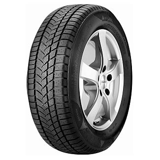 Шина зимова 255/40R19 100V XL NW211 Sunny