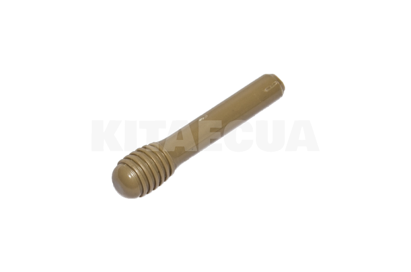 Кнопка фиксатор дверного замка (бежевая) ОРИГИНАЛ на Chery AMULET (A11-6105151) - 3
