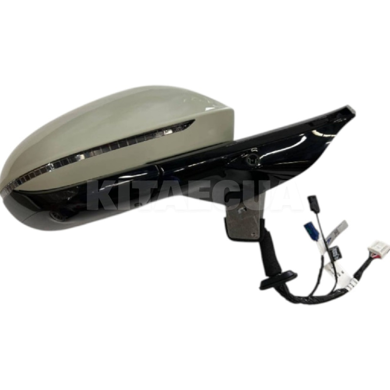 Правое зеркало заднего вида BYD (UKEA-8202109B) - 2