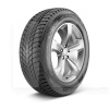 Шина зимова 205/55R16 91T WinGuard ice Plus WH43 NEXEN (1000329565)
