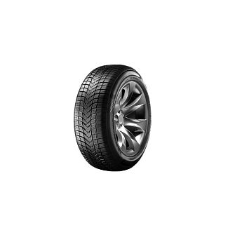 Шина всесезонна 195/65R15 91H NC501 ALL Season Sunny