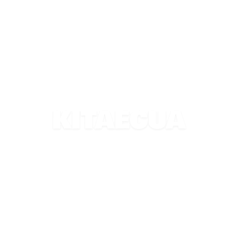 Амортизатор передний газомасляный на VOLKSWAGEN ID.4 CROZZ (1EA 413 032) - 2