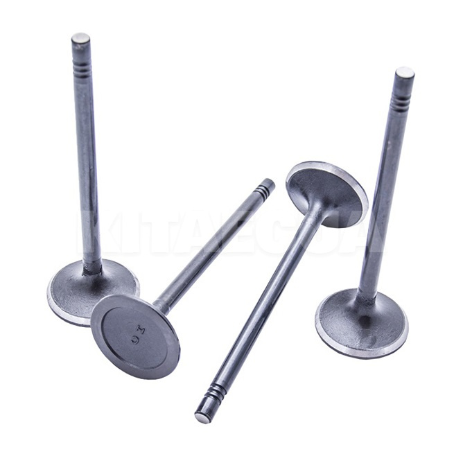 Клапан впускной (4шт) 1.6L CDN на Chery AMULET (480E-1007011)