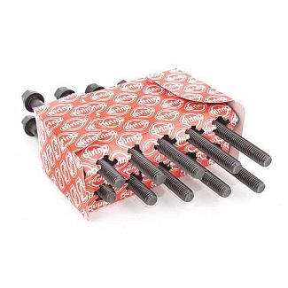 Болт головки блоку циліндрів 1.6L ELRING