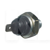 Датчик тиску масла 1.0L ASIAN на Chery JAGGI (372-1002070)