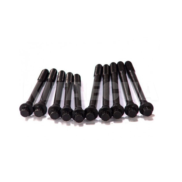 Болт головки блоку циліндрів (ком-кт 10 ELRING на Geely GC2 (PANDA) (E010500801-01)