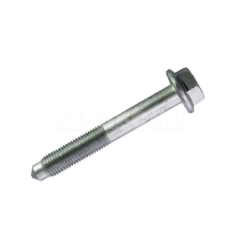 Болт переднього сайлентблока важіль ASIAN на Chery AMULET (N90484001)