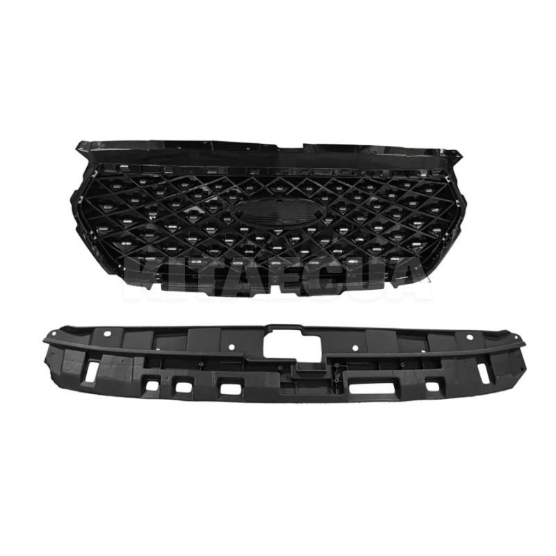 Решетка радиатора (602003166AA)