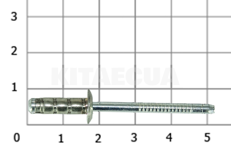 Заклепка ОРИГИНАЛ на Chery AMULET (N90307001) - 4