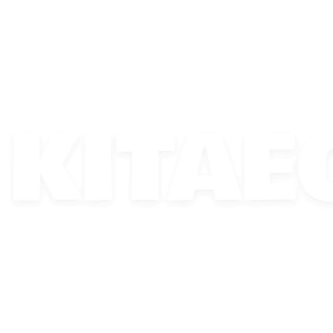Кольца поршневые STD 1.8L KOLBENSCHMIDT на Lifan X60 (LFB479Q-1004200A) - 2