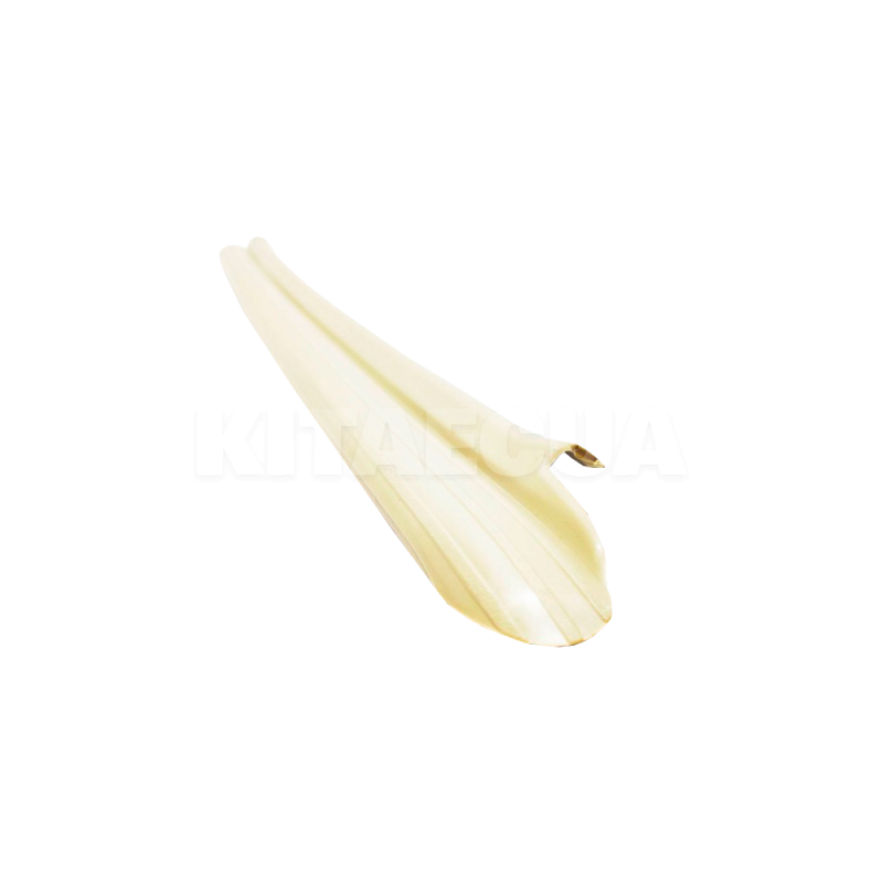 Накладка порога внутрішня передня ліва бежева на Chery AMULET (A11-5101031AL) - 3