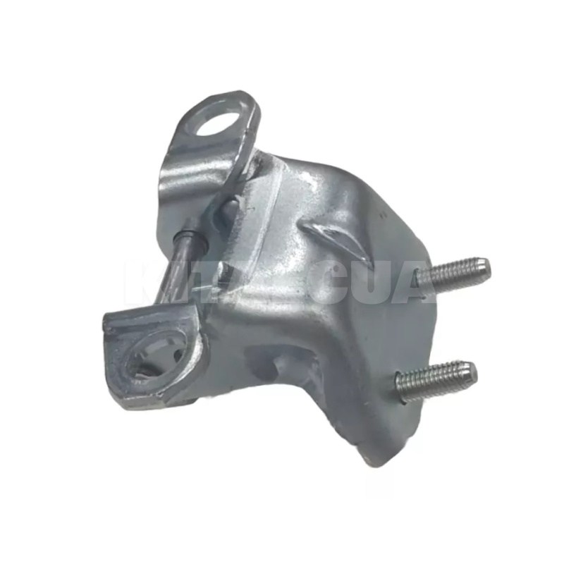 Петля верхняя задей левой двери BYD на BYD EV Yuan Plus (13174832-00) - 2