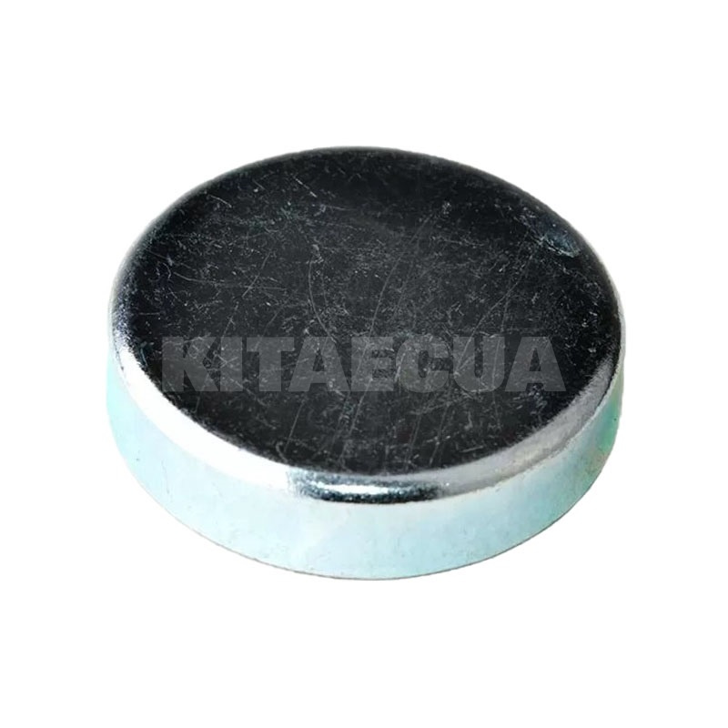 Заглушка ГБЦ на ZAZ FORZA (480-1002018)