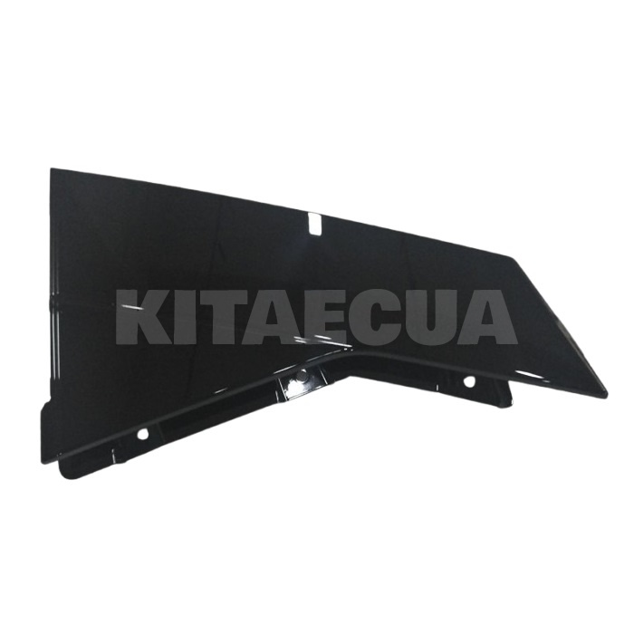 Зовнішня пластина лівої стійки C ОРИГИНАЛ на BYD Seal (13442589-00)