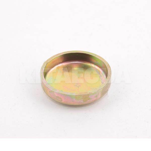 Заглушка головки блоку циліндрів на Geely CK2 (E010500301)