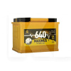 Аккумулятор автомобильный 62Ач 640А "+" слева MAXIMUS (562 76 02)