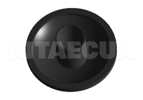 Фиксатор на Chery AMULET (A11-5402095) - 2