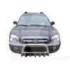 Кенгурятник WT003 Hyundai Santa Fe 1 2000-2006 нержавеющая сталь CAN (dd14781)