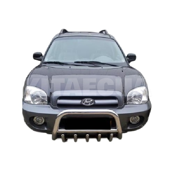 Кенгурятник WT003 Hyundai Santa Fe 1 2000-2006 нержавеющая сталь CAN (dd14781) - 2