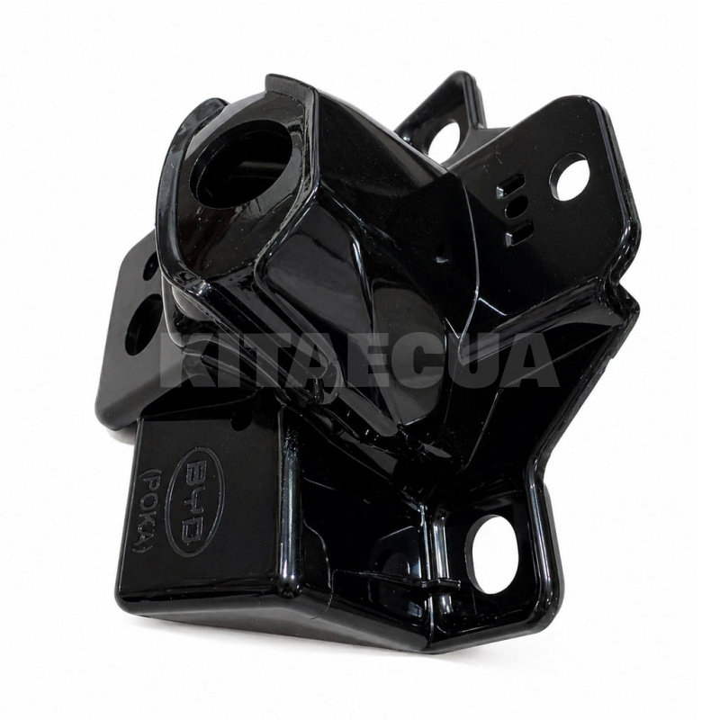 Корпус передней камеры BYD на BYD EV Yuan Plus (13161594-00) - 3