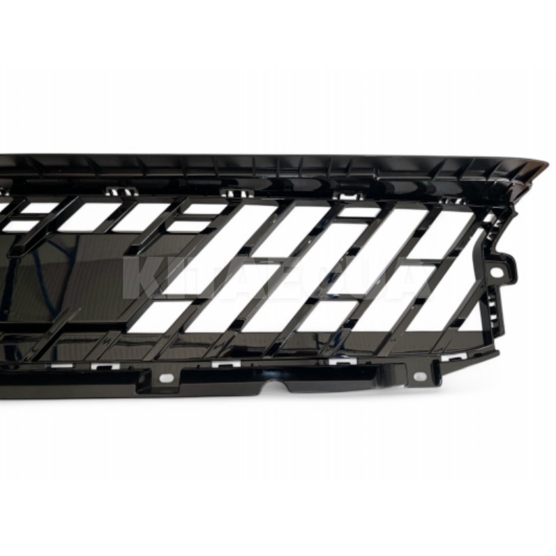 Решетка переднего бампера Zeekr на ZEEKR 001 (6600190690803) - 4