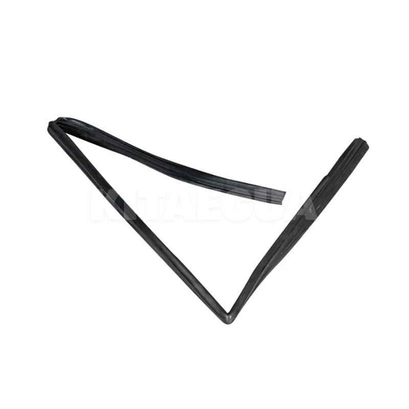 Ущільнювач скла задньої лівої двері на Chery KIMO (S12-5206211)