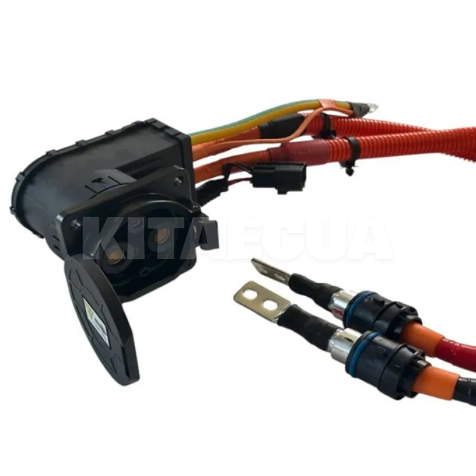 Порт для быстрой зарядки BYD на BYD E2 (12917969-00) - 2