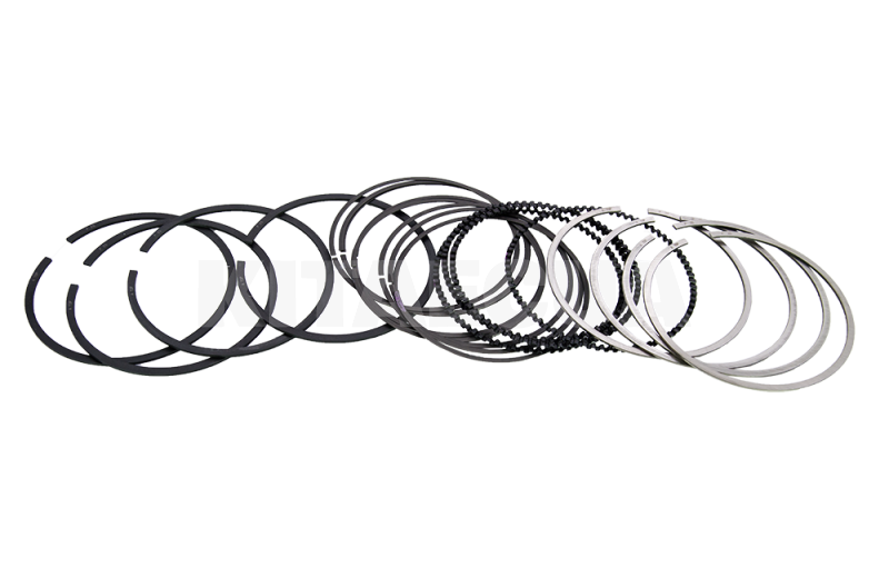 Кільця поршневі STD 2.0L ОРИГИНАЛ на Chery ELARA (484J-1004030)